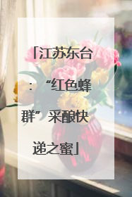 江苏东台：“红色蜂群”采酿快递之蜜