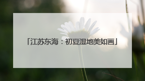 江苏东海：初夏湿地美如画