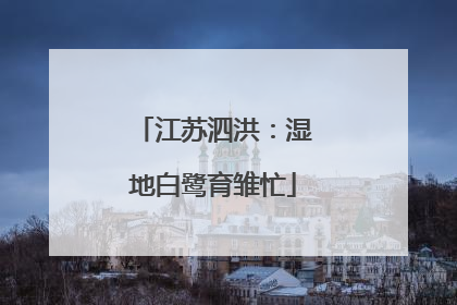 江苏泗洪：湿地白鹭育雏忙