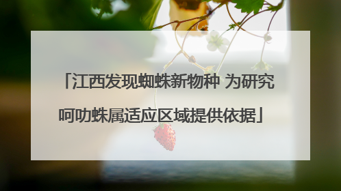 江西发现蜘蛛新物种 为研究呵叻蛛属适应区域提供依据