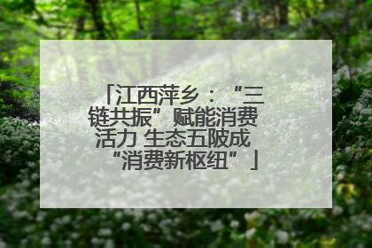 江西萍乡：“三链共振”赋能消费活力 生态五陂成“消费新枢纽”