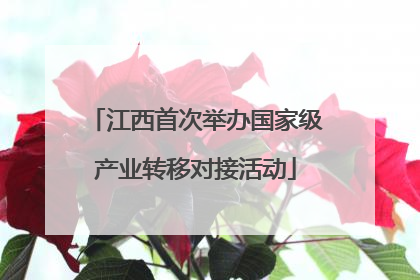 江西首次举办国家级产业转移对接活动