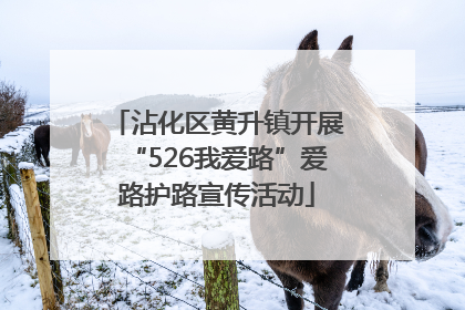 沾化区黄升镇开展“526我爱路”爱路护路宣传活动