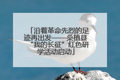 沿着革命先烈的足迹再出发——桑植县“我的长征”红色研学活动启动