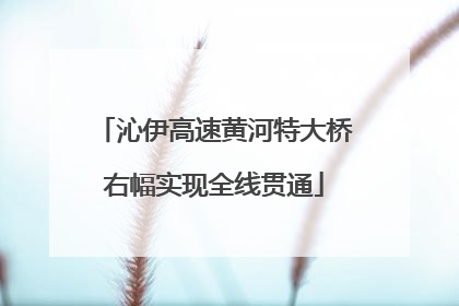 沁伊高速黄河特大桥右幅实现全线贯通