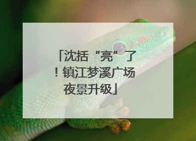 沈括“亮”了！镇江梦溪广场夜景升级