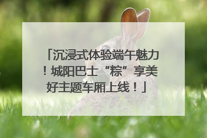沉浸式体验端午魅力！城阳巴士“粽”享美好主题车厢上线！