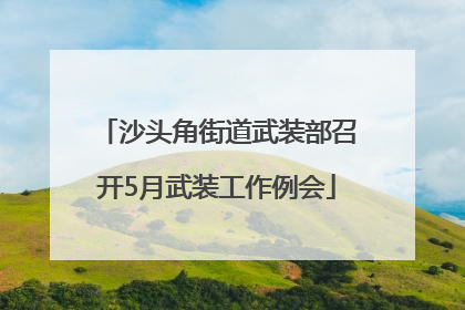 沙头角街道武装部召开5月武装工作例会