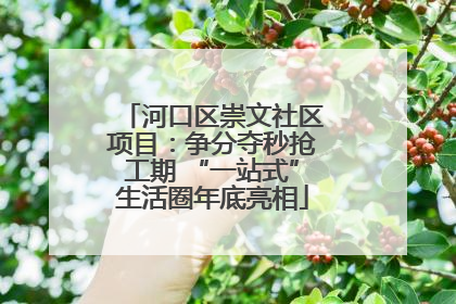 河口区崇文社区项目：争分夺秒抢工期 “一站式”生活圈年底亮相