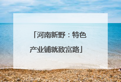 河南新野：特色产业铺就致富路