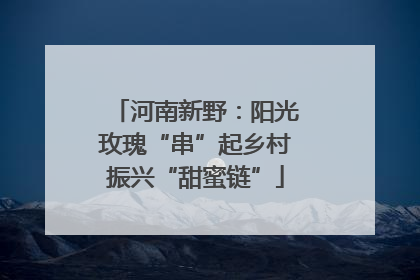 河南新野：阳光玫瑰“串”起乡村振兴“甜蜜链”