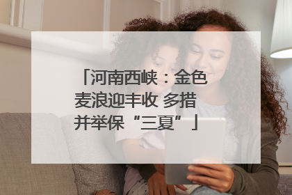 河南西峡：金色麦浪迎丰收 多措并举保“三夏”
