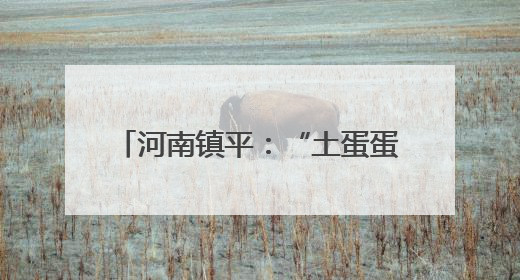 河南镇平：“土蛋蛋”变身“金疙瘩”