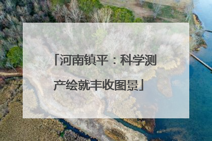 河南镇平：科学测产绘就丰收图景