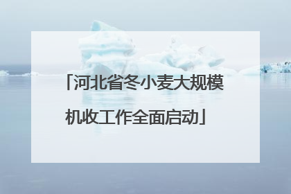 河北省冬小麦大规模机收工作全面启动