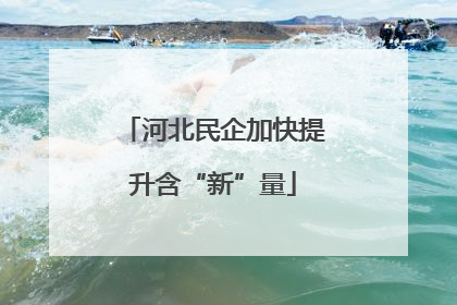 河北民企加快提升含“新”量