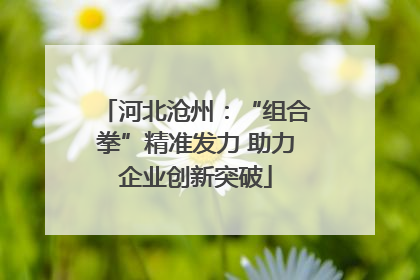 河北沧州：“组合拳”精准发力 助力企业创新突破