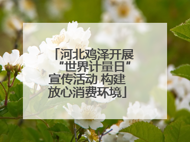 河北鸡泽开展“世界计量日”宣传活动 构建放心消费环境