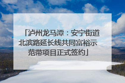 泸州龙马潭：安宁街道北滨路延长线共同富裕示范带项目正式签约