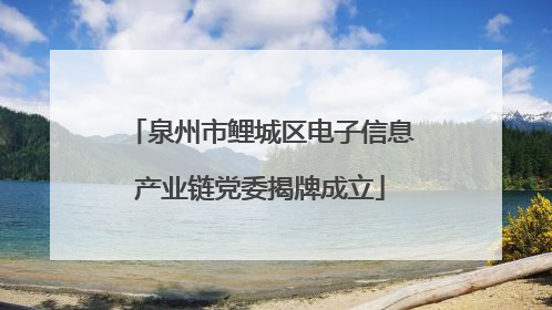 泉州市鲤城区电子信息产业链党委揭牌成立