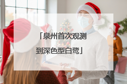 泉州首次观测到深色型白鹭