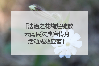 法治之花绚烂绽放 云南民法典宣传月活动成效显著