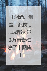 泡酒、制酱、泡饮……成都大邑3万亩青梅熟了丨图集