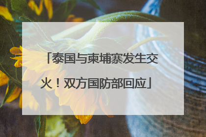 泰国与柬埔寨发生交火！双方国防部回应