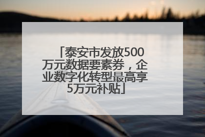 泰安市发放500万元数据要素券，企业数字化转型最高享5万元补贴
