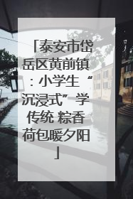 泰安市岱岳区黄前镇：小学生“沉浸式”学传统 粽香荷包暖夕阳