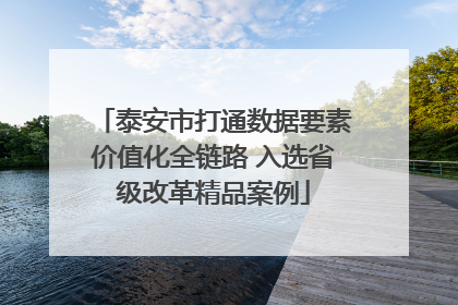 泰安市打通数据要素价值化全链路 入选省级改革精品案例