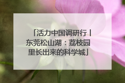 活力中国调研行丨东莞松山湖：荔枝园里长出来的科学城