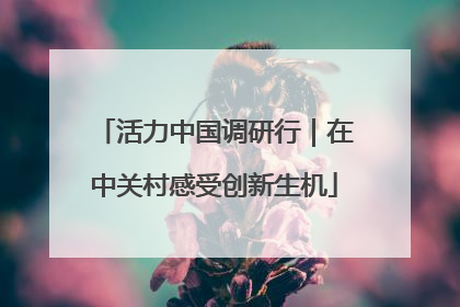 活力中国调研行｜在中关村感受创新生机