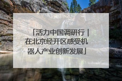 活力中国调研行｜在北京经开区感受机器人产业创新发展