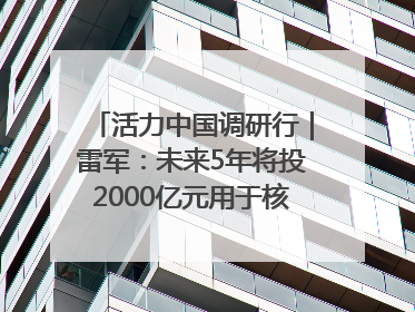 活力中国调研行｜雷军：未来5年将投2000亿元用于核心技术研发