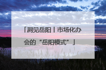 洞见岳阳丨市场化办会的“岳阳模式”
