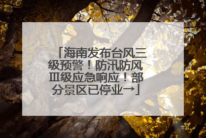 海南发布台风三级预警！防汛防风Ⅲ级应急响应！部分景区已停业→