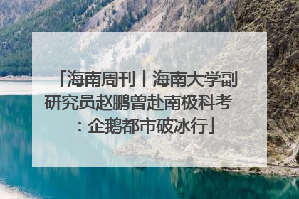 海南周刊丨海南大学副研究员赵鹏曾赴南极科考：企鹅都市破冰行
