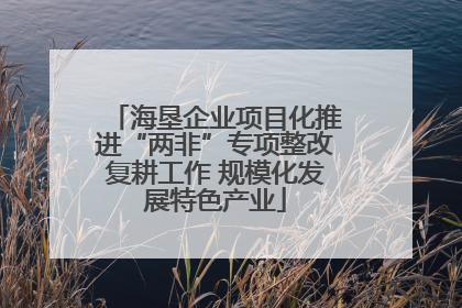 海垦企业项目化推进“两非”专项整改复耕工作 规模化发展特色产业