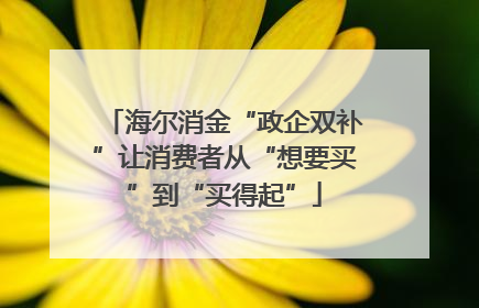海尔消金“政企双补”让消费者从“想要买”到“买得起”