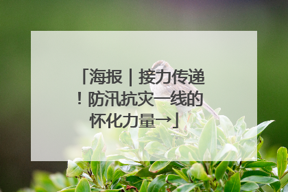 海报｜接力传递！防汛抗灾一线的怀化力量→