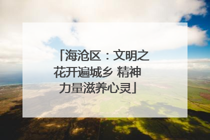 海沧区：文明之花开遍城乡 精神力量滋养心灵