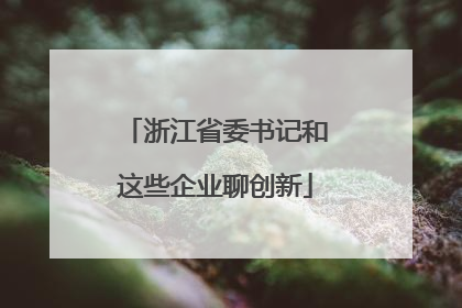 浙江省委书记和这些企业聊创新