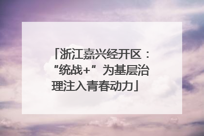 浙江嘉兴经开区：“统战+”为基层治理注入青春动力
