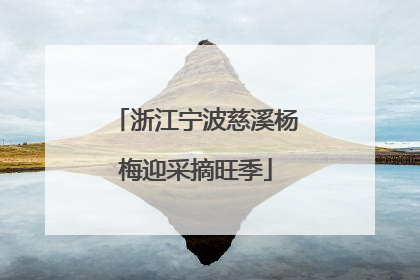 浙江宁波慈溪杨梅迎采摘旺季