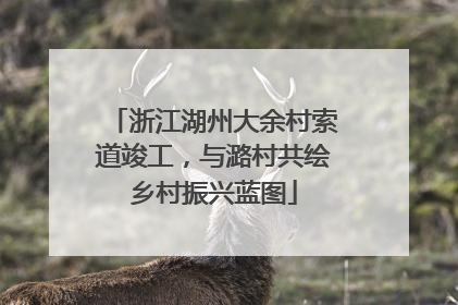 浙江湖州大余村索道竣工，与潞村共绘乡村振兴蓝图