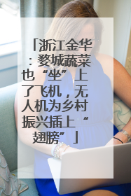 浙江金华：婺城蔬菜也“坐”上了飞机，无人机为乡村振兴插上“翅膀”
