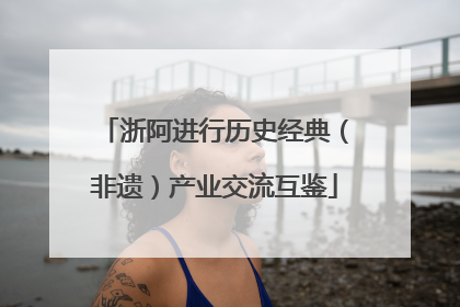 浙阿进行历史经典（非遗）产业交流互鉴
