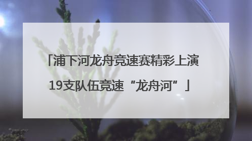 浦下河龙舟竞速赛精彩上演 19支队伍竞速“龙舟河”