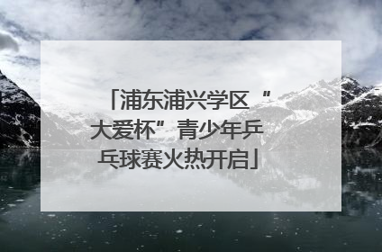 浦东浦兴学区“大爱杯”青少年乒乓球赛火热开启